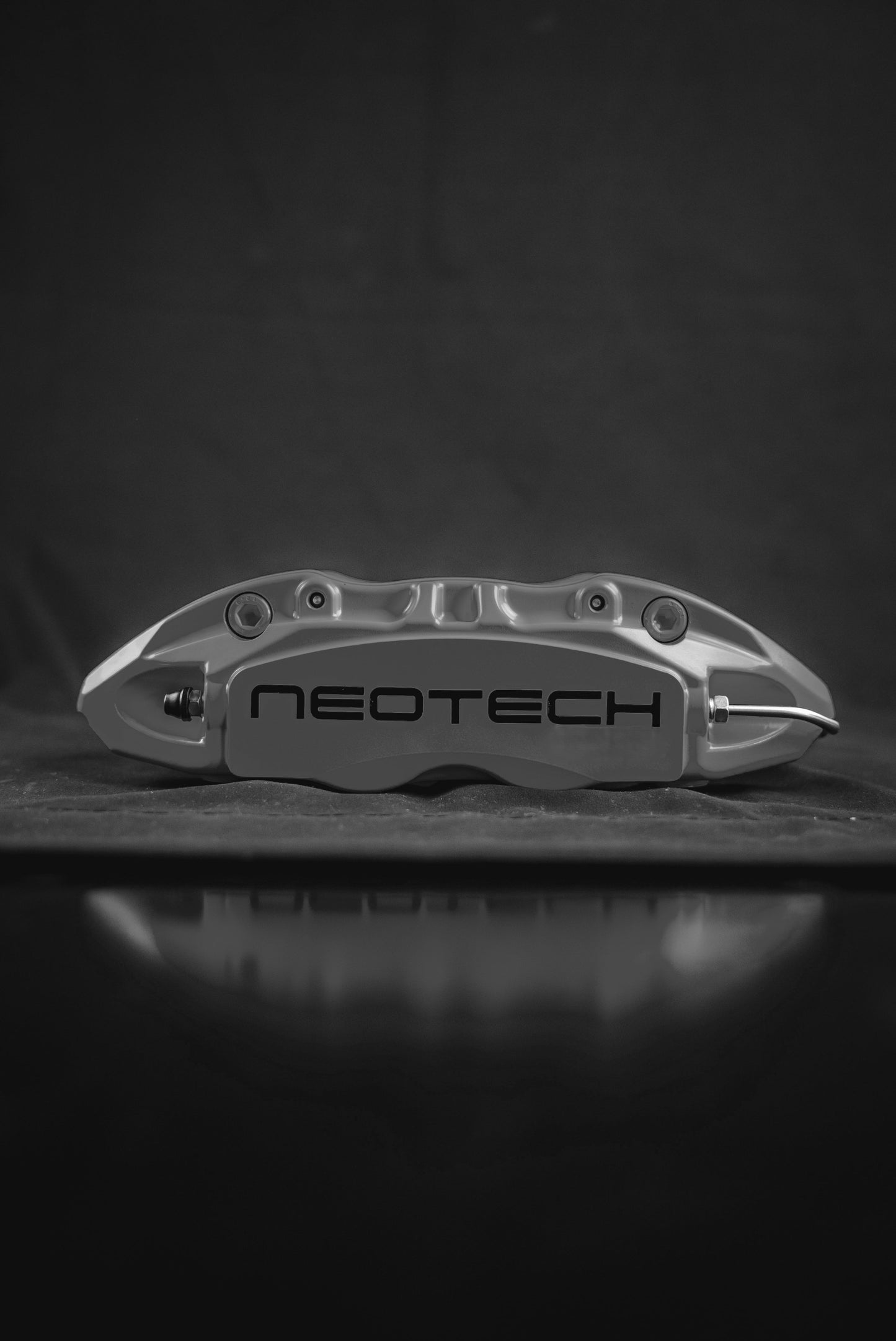 Neotech 4P Rear Brake Kit