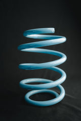 Neotech Lowering Springs
