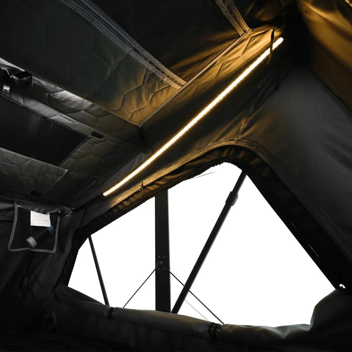 OrthFrame Max