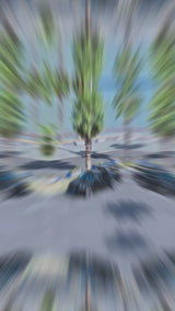 REVOLVE PIVOT MASTER X90 Roof Rack Ladder